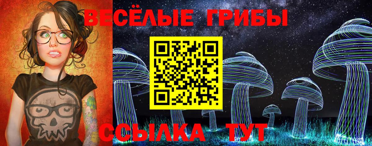 где продают наркотики  Псилоцибиновые грибы Cubensis  Галлюциногенные грибы мухоморы  Вход с VPN  Павлово 