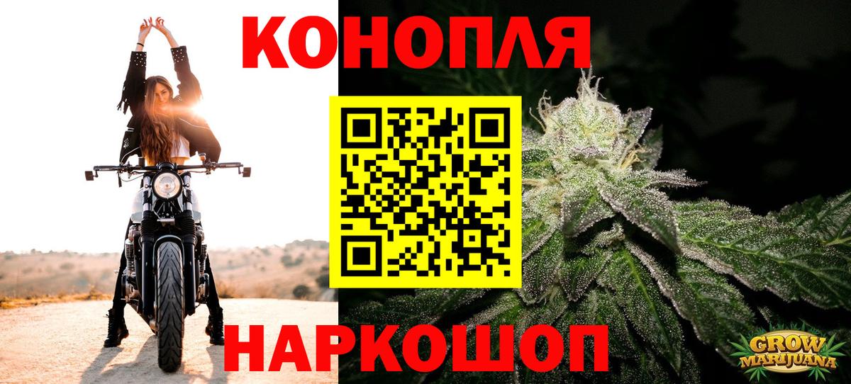 МАРИХУАНА план Павлово
